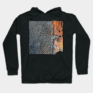 Alghorithmically generated landscape Hoodie